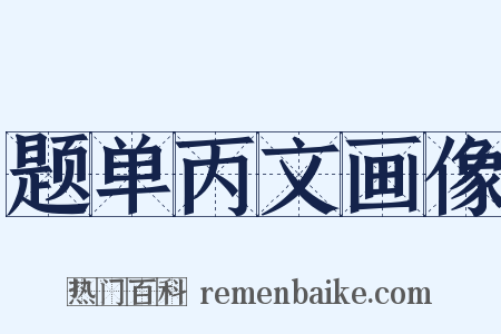 题单丙文画像是什么意思的图片